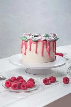 Sweet decorated cake with raspberry Stock Photos
