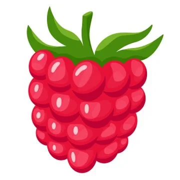 Sweet delicious raspberry. Fresh summer berry. Organic Illustrazione stock