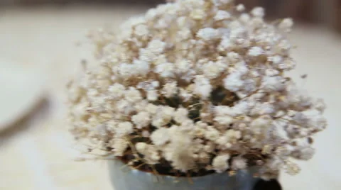 Sweet dessert of meringue Vídeo Stock 59357123