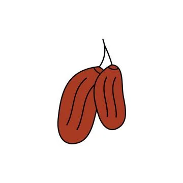Sweet Dried Dates Fruit Vector Illustration for Ramadan and Healthy Diet. Stock Illustration
