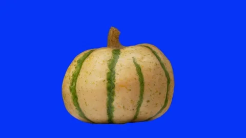 Sweet Dumpling Squash spinning on blue screen. Small cute pumpkin. Shot in 4K Stock Footage 151363161