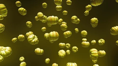 Sweet Dumpling Squashes Floating on a Black Background 库存影片 72299610