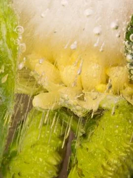 Sweet fragrant composition Foto stock