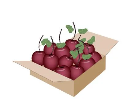 Sweet Fresh Apple in A Shipping Box Stock Illustration