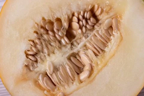 Sweet fresh melon Stock Photos