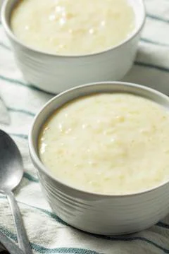 Sweet Homemade Tapioca Pudding Stock Photos