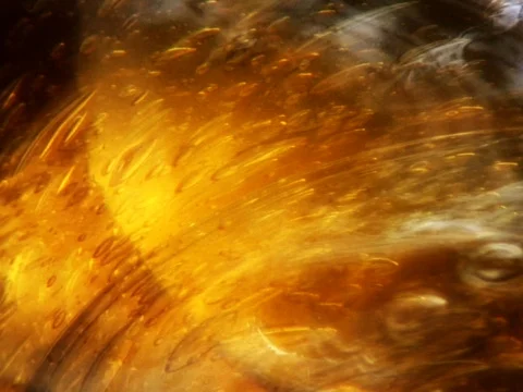 Sweet Honey 2 Stock Footage 489922