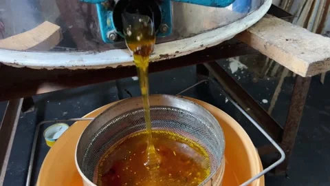 Sweet honey Stock Footage 203792200