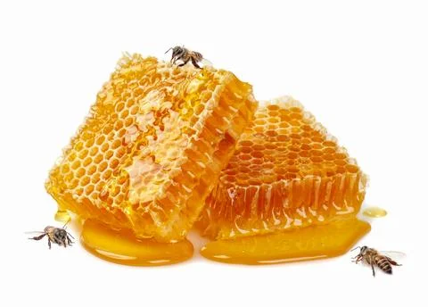 Sweet Honeycomb with bee isolate on white background, bee products by organ.. Stock-Fotos