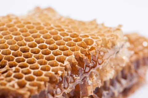Sweet honeycombs Stock Photos