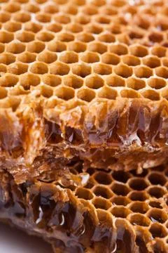 Sweet honeycombs Stock Photos