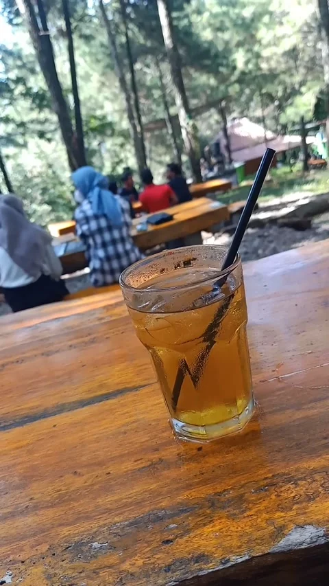 Sweet iced tea in the garden Stock Footage 219014749