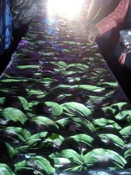 Sweet leaf Stockfoto's