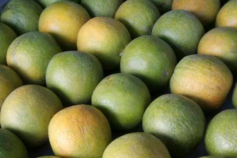 Sweet Lemon Stock Photos