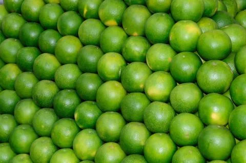 Sweet Lime Foto stock