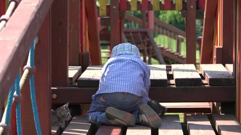 Sweet little boy looking close to little cat 4K Stock Footage 46205844