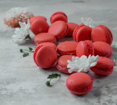Sweet macarons on the table Stock Photos