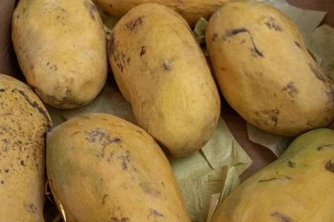Sweet Mango Pile Stock Photos