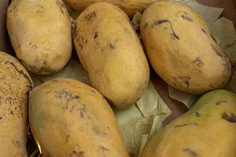 Sweet Mango Pile Stock Photos