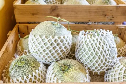 Sweet melon raw Stock Photos