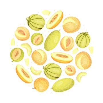 Sweet Melon Round Composition Design with Ripe Fruit Vector Template Stock Illustration