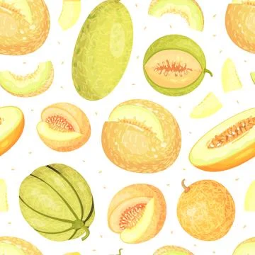 Sweet Melon Seamless Pattern Design with Ripe Fruit Vector Template Illustrazione stock