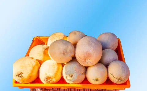 Sweet Melon Summer fruit Stock Photos