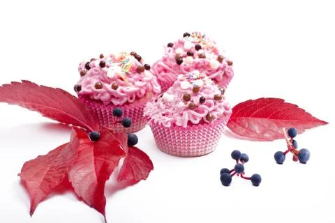 Sweet muffins Stock Photos