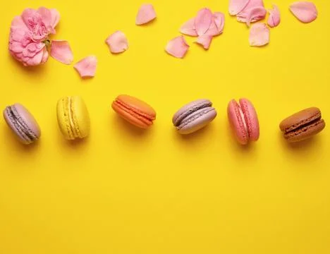 Sweet multi-colored macarons with cream and a pink rose bud with scattered pe Fotos Stock