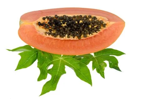 Sweet papaya on isolate. Stock Photos