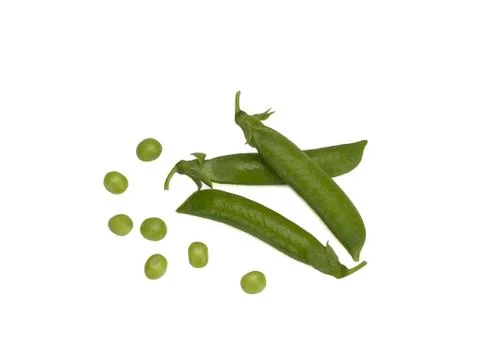 Sweet pea in closeup Stock Photos