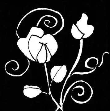 Sweet pea spirals. Ink Pattern Seven, abstract pattern, black and white in... 写真素材