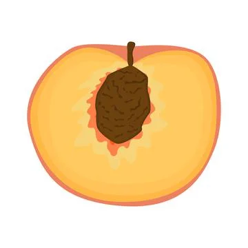 Sweet peach vegan fruit vector flat isolated illustration 스톡 일러스트
