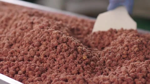 Sweet peanut production Stock Footage 296603666