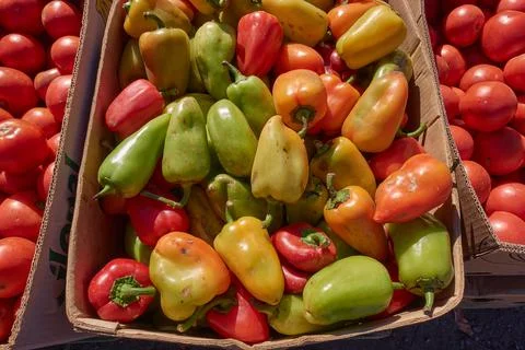 Sweet pepper in a box. Stock Photos