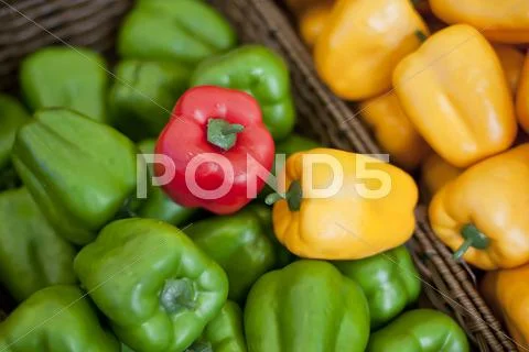 Sweet pepper, green pepper, vegetables Stock Photos