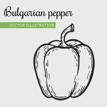 Sweet pepper Stock Illustration