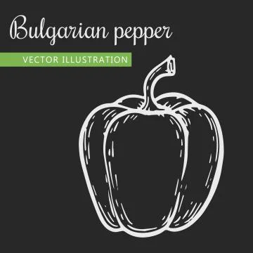 Sweet pepper Stock Illustration