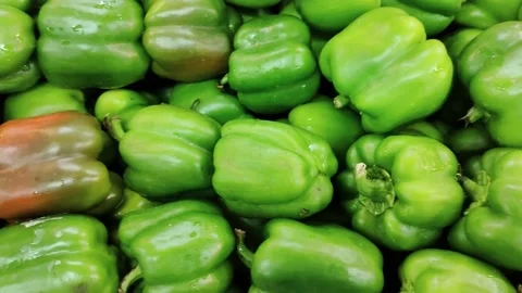 Sweet Pepper or Bell Pepper or Capcicum kept  sale -a pan shot. Stock Footage 194389271