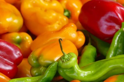 Sweet pepper Stock Photos