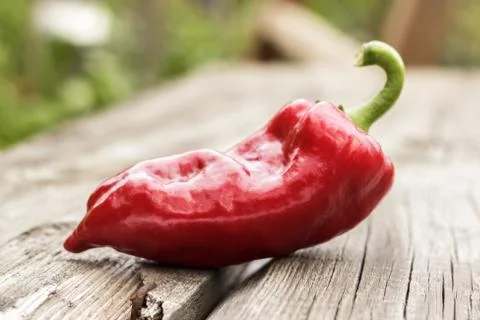 Sweet pepper on the table Stock Photos