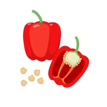 Sweet pepper vector flat illustration. Whole and halved red bell pepper and Stock Illustration
