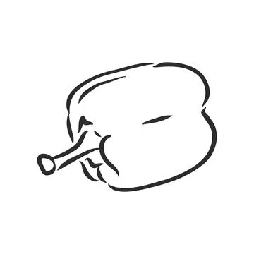 Sweet pepper. Vector hand drawn vegetables isolated on white background. bell Stock Illustration