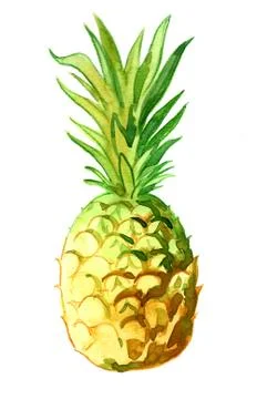 Sweet pineapple Stock Illustration