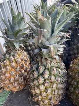 Sweet pineapples on the rack table Stock Photos
