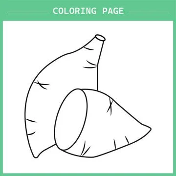Sweet Potato Coloring Page Vector イラスト素材