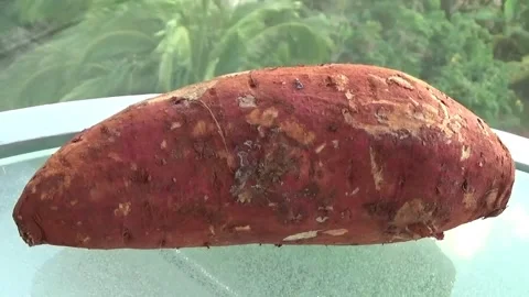 Sweet potato on a glass table with palm trees in the background Stock Footage