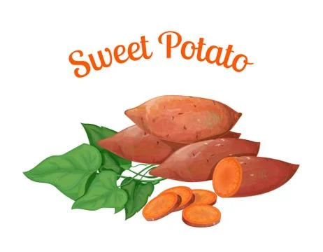 Sweet potato. Isolated objects Illustrazione stock