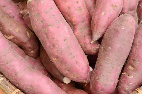 Sweet potato Fotos Stock
