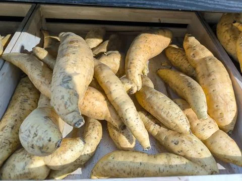 Sweet potato Foto stock